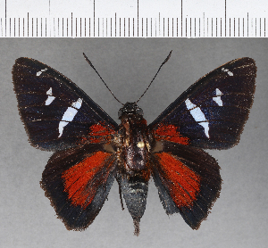  ( - CFC13460_2)  @11 [ ] Copyright (2019) Center For Collection-Based Research Center For Collection-Based Research