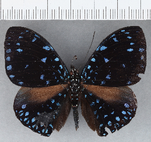  ( - CFC13894)  @11 [ ] Copyright (2019) Center For Collection-Based Research Center For Collection-Based Research