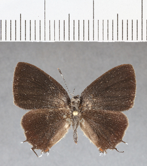  ( - CFC14137)  @11 [ ] Copyright (2018) Center For Collection-Based Research Center For Collection-Based Research