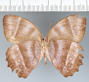  ( - CFC14490)  @11 [ ] copyright (2022) Center For Collection-Based Research Center For Collection-Based Research