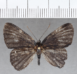  ( - CFC15035)  @11 [ ] Copyright (2019) Center For Collection-Based Research Center For Collection-Based Research