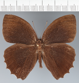  ( - CFC15983)  @11 [ ] copyright (2022) Center For Collection-Based Research Center For Collection-Based Research