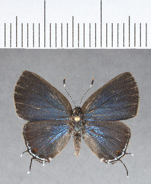  ( - CFC18151)  @11 [ ] Copyright (2018) Center For Collection-Based Research Center For Collection-Based Research