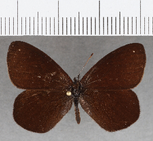  ( - CFC18388)  @11 [ ] copyright (2020) Center For Collection-Based Research Center For Collection-Based Research