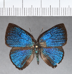  ( - CFC18431)  @11 [ ] Copyright (2018) Center For Collection-Based Research Center For Collection-Based Research