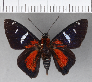  ( - CFC19654)  @11 [ ] Copyright (2018) Center For Collection-Based Research Center For Collection-Based Research