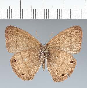  ( - CFC21124)  @11 [ ] copyright (2022) Center For Collection-Based Research Center For Collection-Based Research