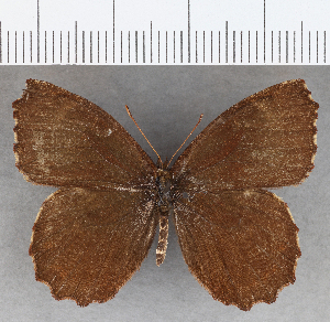  ( - CFC21139)  @11 [ ] copyright (2020) Center For Collection-Based Research Center For Collection-Based Research