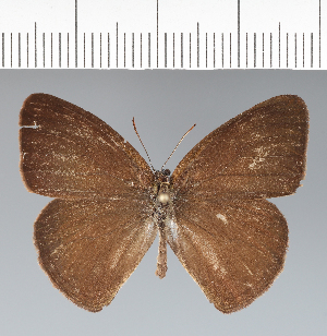  ( - CFC21208)  @11 [ ] copyright (2022) Center For Collection-Based Research Center For Collection-Based Research