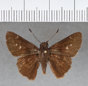  ( - CFC02179)  @11 [ ] Copyright (2018) Center For Collection-Based Research Center For Collection-Based Research