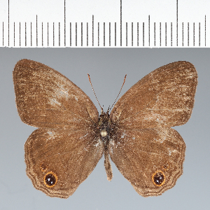  ( - CFC22235)  @11 [ ] copyright (2022) Center For Collection-Based Research Center For Collection-Based Research