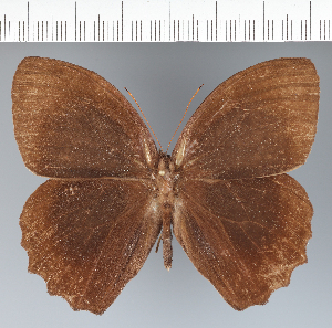  ( - CFC23755)  @11 [ ] copyright (2022) Center For Collection-Based Research Center For Collection-Based Research