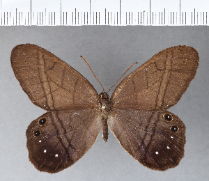  ( - CFC02577)  @11 [ ] Copyright (2018) Center For Collection-Based Research Center For Collection-Based Research