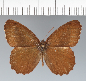  ( - CFC28831)  @11 [ ] copyright (2022) Center For Collection-Based Research Center For Collection-Based Research