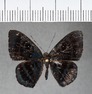  ( - CFC03034)  @11 [ ] Copyright (2018) Center For Collection-Based Research Center For Collection-Based Research