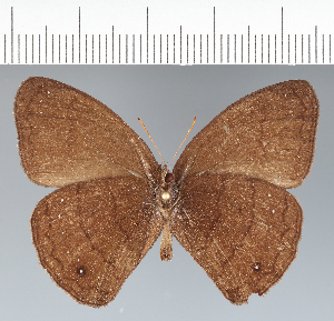  ( - CFC30361)  @11 [ ] copyright (2022) Center For Collection-Based Research Center For Collection-Based Research