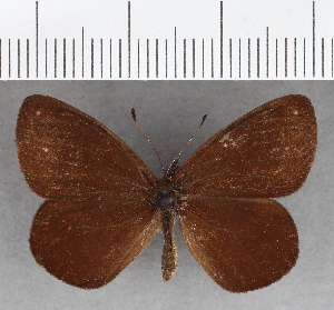 ( - CFC30839)  @11 [ ] copyright (2020) Center For Collection-Based Research Center For Collection-Based Research