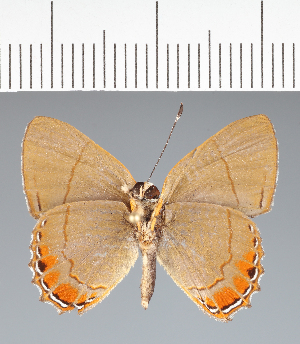  ( - CFC31214)  @11 [ ] copyright (2022) Center For Collection-Based Research Center For Collection-Based Research