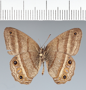  ( - CFC31425)  @11 [ ] copyright (2022) Center For Collection-Based Research Center For Collection-Based Research