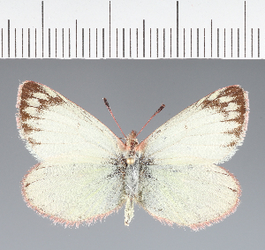  ( - CFC33269)  @11 [ ] copyright (2023) Center For Collection-Based Research Center For Collection-Based Research