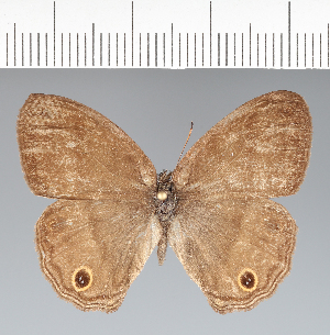  ( - CFC33761)  @11 [ ] copyright (2022) Center For Collection-Based Research Center For Collection-Based Research