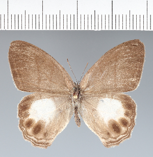  ( - CFC33780)  @11 [ ] copyright (2022) Center For Collection-Based Research Center For Collection-Based Research