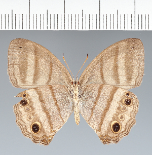  ( - CFC33892)  @11 [ ] copyright (2022) Center For Collection-Based Research Center For Collection-Based Research