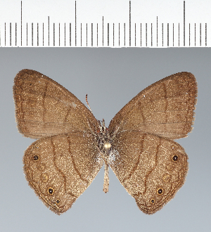  ( - CFC33901)  @11 [ ] copyright (2022) Center For Collection-Based Research Center For Collection-Based Research