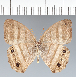  ( - CFC33905)  @11 [ ] copyright (2022) Center For Collection-Based Research Center For Collection-Based Research