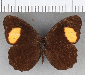  ( - CFC33949)  @11 [ ] copyright (2020) Center For Collection-Based Research Center For Collection-Based Research