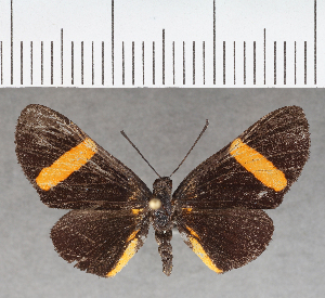  ( - CFC39086)  @11 [ ] copyright (2021) Center For Collection-Based Research Center For Collection-Based Research