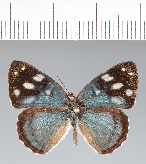  ( - CFC41814)  @11 [ ] copyright (2022) Center For Collection-Based Research Center For Collection-Based Research
