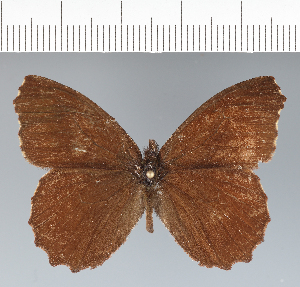  ( - CFC41870)  @11 [ ] copyright (2022) Center For Collection-Based Research Center For Collection-Based Research
