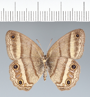  ( - CFC42076)  @11 [ ] copyright (2022) Center For Collection-Based Research Center For Collection-Based Research