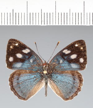  ( - CFC42197)  @11 [ ] copyright (2022) Center For Collection-Based Research Center For Collection-Based Research