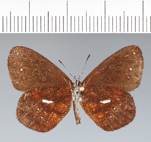  ( - CFC42458)  @11 [ ] copyright (2022) Center For Collection-Based Research Center For Collection-Based Research