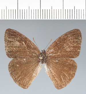  ( - CFC42501)  @11 [ ] copyright (2022) Center For Collection-Based Research Center For Collection-Based Research