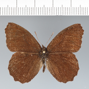  ( - CFC42714)  @11 [ ] copyright (2022) Center For Collection-Based Research Center For Collection-Based Research
