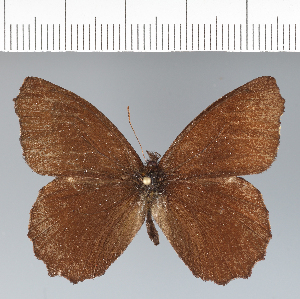  ( - CFC42716)  @11 [ ] copyright (2022) Center For Collection-Based Research Center For Collection-Based Research