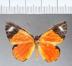  ( - CFC04317)  @11 [ ] Copyright (2018) Center For Collection-Based Research Center For Collection-Based Research