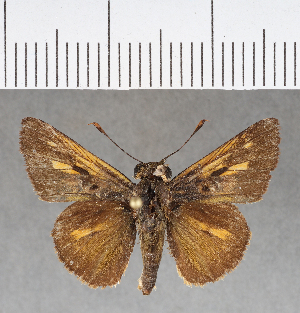  ( - CFC04543)  @11 [ ] Copyright (2018) Center For Collection-Based Research Center For Collection-Based Research