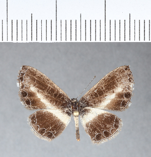 ( - CFC05163)  @11 [ ] Copyright (2018) Center For Collection-Based Research Center For Collection-Based Research
