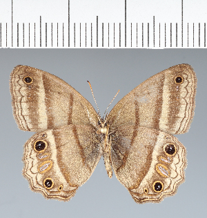  ( - CFC06792)  @11 [ ] copyright (2022) Center For Collection-Based Research Center For Collection-Based Research