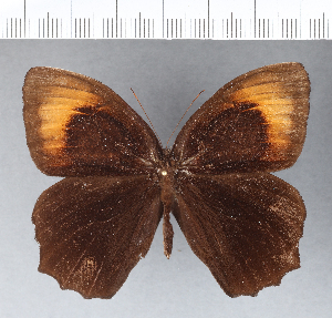  ( - CFC07128)  @11 [ ] Copyright (2018) Center For Collection-Based Research Center For Collection-Based Research