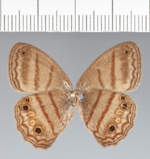  ( - CFC07484)  @11 [ ] copyright (2022) Center For Collection-Based Research Center For Collection-Based Research