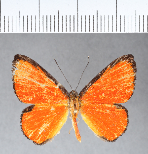  ( - CFC07698)  @11 [ ] Copyright (2018) Center For Collection-Based Research Center For Collection-Based Research