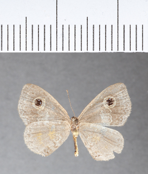  ( - CFC08653)  @11 [ ] Copyright (2018) Center For Collection-Based Research Center For Collection-Based Research