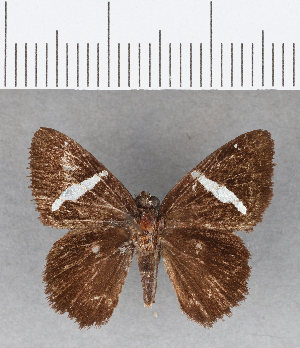  ( - CFC08751)  @13 [ ] Copyright (2018) Center For Collection-Based Research Center For Collection-Based Research