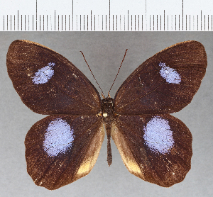  ( - CFC09012)  @11 [ ] Copyright (2019) Center For Collection-Based Research Center For Collection-Based Research