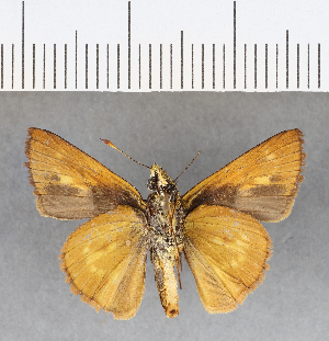  ( - CFC09861)  @11 [ ] Copyright (2018) Center For Collection-Based Research Center For Collection-Based Research